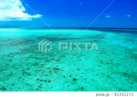 沖縄屈指の美しさ！　伊良部島の美しい海 81331272
