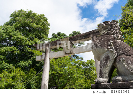 【山梨県】 武田神社 【山梨県】 武田神社 81331541
