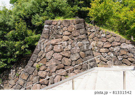 【山梨県】 武田神社 【山梨県】 武田神社 81331542