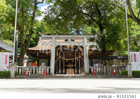 【山梨県】　武田神社 81331561