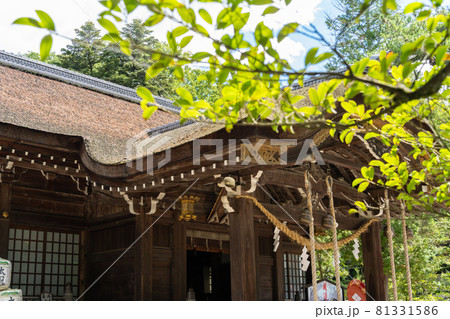 【山梨県】　武田神社 81331586