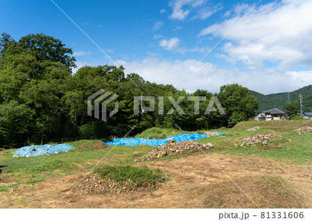 【山梨県】　武田神社 81331606