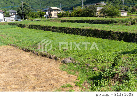 【山梨県】　武田神社 81331608