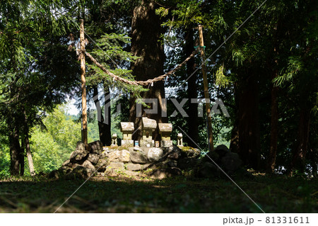 【山梨県】　武田神社 81331611