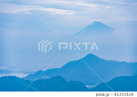（静岡県）伊豆パノラマパークから望む、夏の富士山 81331616
