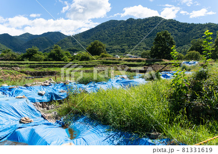【山梨県】　武田神社 81331619