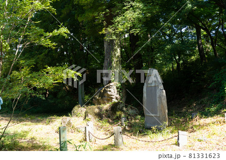 【山梨県】 武田神社 【山梨県】 武田神社 81331623