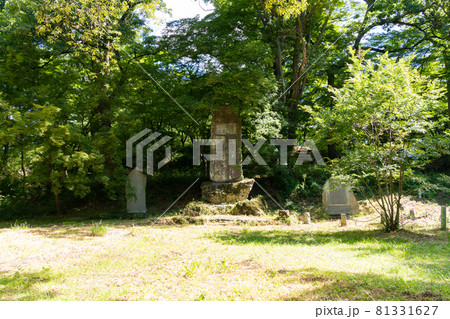 【山梨県】　武田神社 81331627