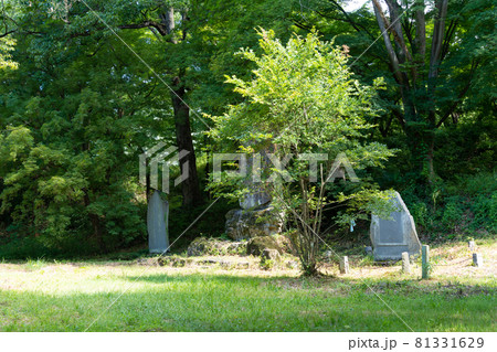 【山梨県】　武田神社 81331629