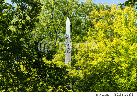 【山梨県】　武田神社 81331631