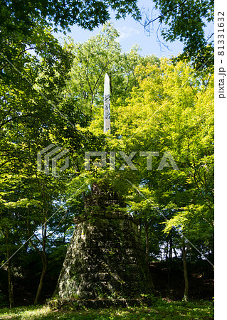 【山梨県】　武田神社 81331632