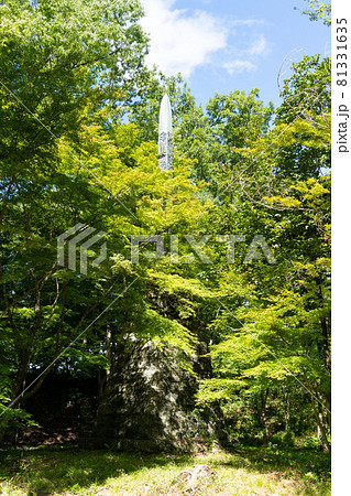 【山梨県】　武田神社 81331635