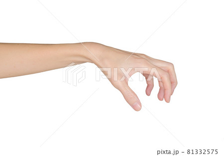 Closeup of female hand holding. Isolated on white background 81332575