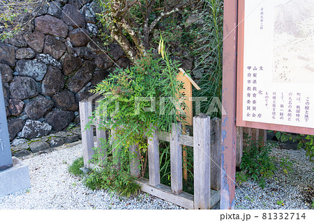 【山梨県】　武田神社 81332714