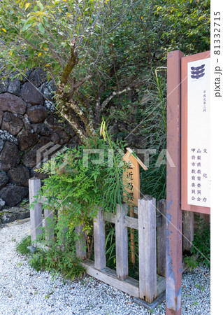 【山梨県】　武田神社 81332715