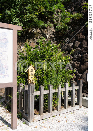 【山梨県】　武田神社 81332717