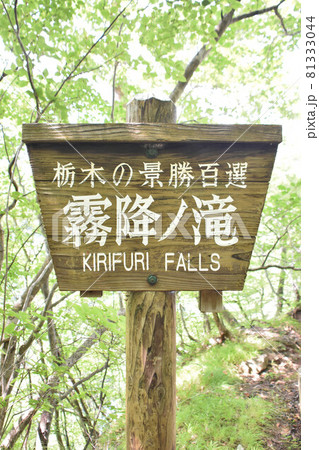 栃木県日光市　霧降ノ滝 81333044