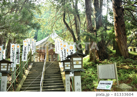 玉桂寺 【滋賀県甲賀市信楽町勅旨】 玉桂寺 【滋賀県甲賀市信楽町勅旨】 81333604