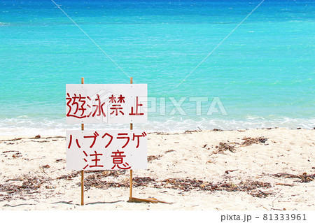 沖縄　美しい海 81333961