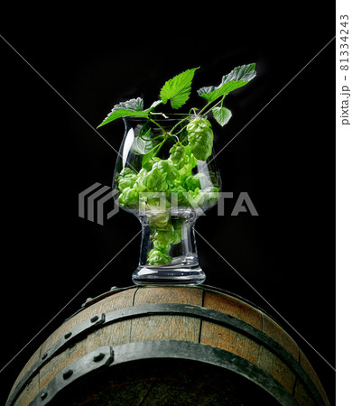 fresh hop plant cones in craft beer glass fresh hop plant cones in craft beer glass 81334243
