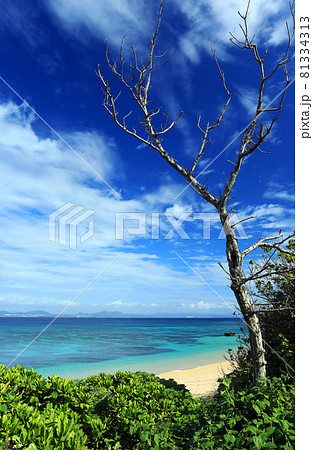 沖縄 伊計島の美しい海 沖縄 伊計島の美しい海 81334313
