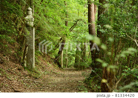 高野山町石道の九十五町石　【和歌山県伊都郡かつらぎ町】 81334420