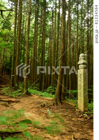 高野山町石道の古峠に建つ百二十四町石　【和歌山県伊都郡かつらぎ町】 81334564