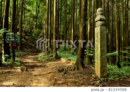 高野山町石道の古峠に建つ百二十四町石　【和歌山県伊都郡かつらぎ町】 81334566