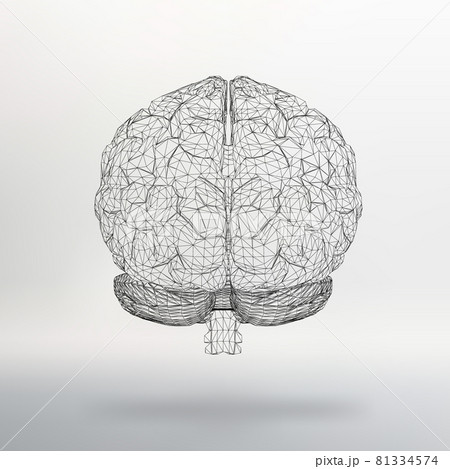 Vector illustration human brain. The structural grid of polygons. Abstract Creative concept vector background. Molecular lattice. Polygonal design style letterhead and brochure. 81334574