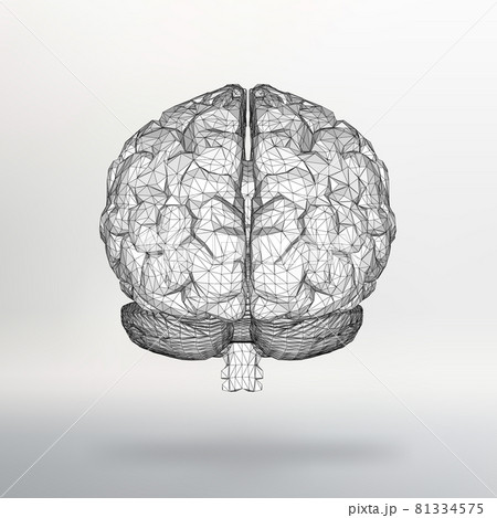 Vector illustration human brain. The structural grid of polygons. Abstract Creative concept vector background. Molecular lattice. Polygonal design style letterhead and brochure. 81334575