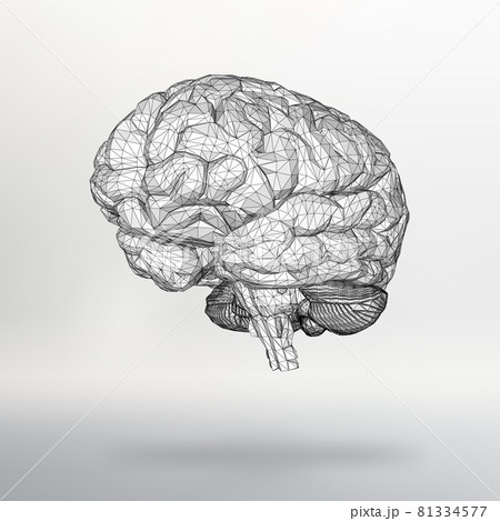 Vector illustration human brain. The structural grid of polygons. Abstract Creative concept vector background. Molecular lattice. Polygonal design style letterhead and brochure. 81334577