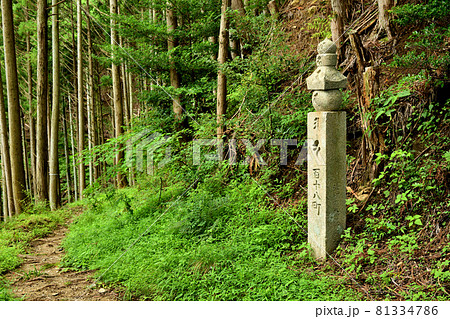 高野山町石道の百十八町石 【和歌山県伊都郡かつらぎ町】 高野山町石道の百十八町石 【和歌山県伊都郡かつらぎ町】 81334786