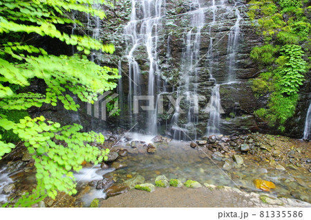 龍双ヶ滝　日本の滝100選　福井県今立郡池田町 81335586