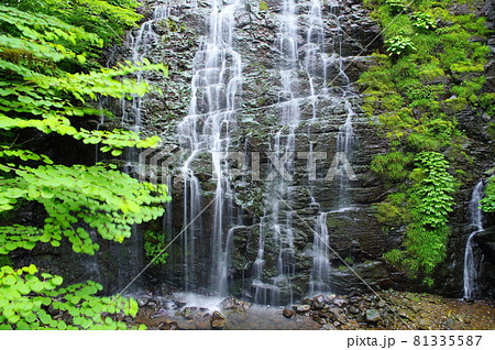 龍双ヶ滝　日本の滝100選　福井県今立郡池田町 81335587