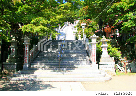 丹沢大山の阿夫利神社にお参りするための参道 81335620