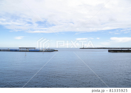 遊歩道から見た熱海港 遊歩道から見た熱海港 81335925