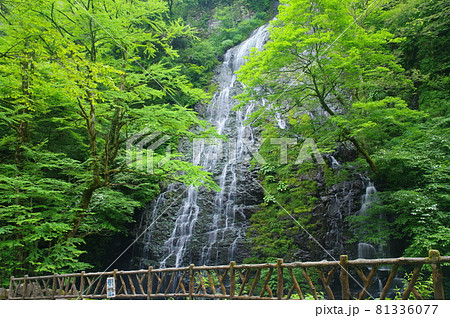 龍双ヶ滝　日本の滝100選　福井県今立郡池田町 81336077