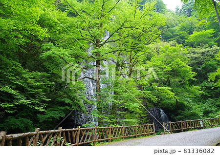 龍双ヶ滝　日本の滝100選　福井県今立郡池田町 81336082