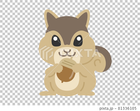 ドングリを持ったリスのイラスト ドングリを持ったリスのイラスト 81336105