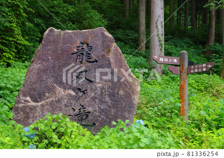 龍双ヶ滝 日本の滝100選 福井県今立郡池田町 龍双ヶ滝 日本の滝100選 福井県今立郡池田町 81336254