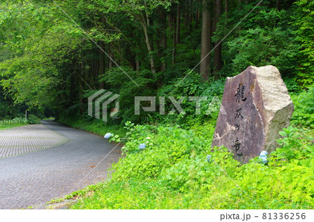龍双ヶ滝 日本の滝100選 福井県今立郡池田町 龍双ヶ滝 日本の滝100選 福井県今立郡池田町 81336256
