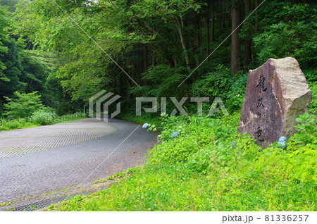 龍双ヶ滝 日本の滝100選 福井県今立郡池田町 龍双ヶ滝 日本の滝100選 福井県今立郡池田町 81336257