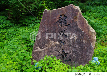 龍双ヶ滝 日本の滝100選 福井県今立郡池田町 龍双ヶ滝 日本の滝100選 福井県今立郡池田町 81336258