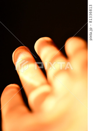 光 人 人間 81336813