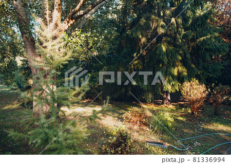 Lawn sprinkler spaying water over green grass at garden park. Irrigation system. Lawn sprinkler spaying water over green grass at garden park. Irrigation system. 81336994