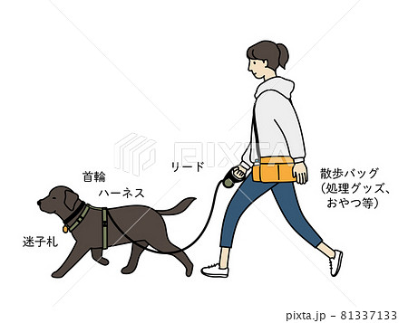 犬の散歩に必要な物 81337133