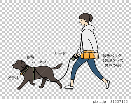 What you need for a dog walk 81337133