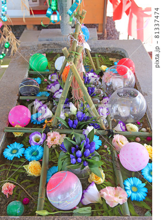 手水花(西宮八幡宮) 81337474