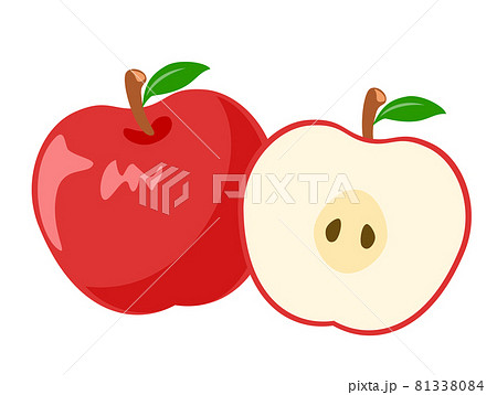 リンゴ 林檎 秋の味覚 秋の風物詩アイコン イラスト素材のイラスト素材