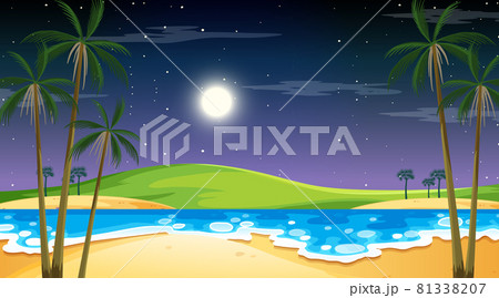 Beach at night time landscape scene with palm tree 81338207